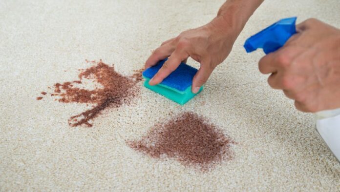 Removing Carpet Stains
