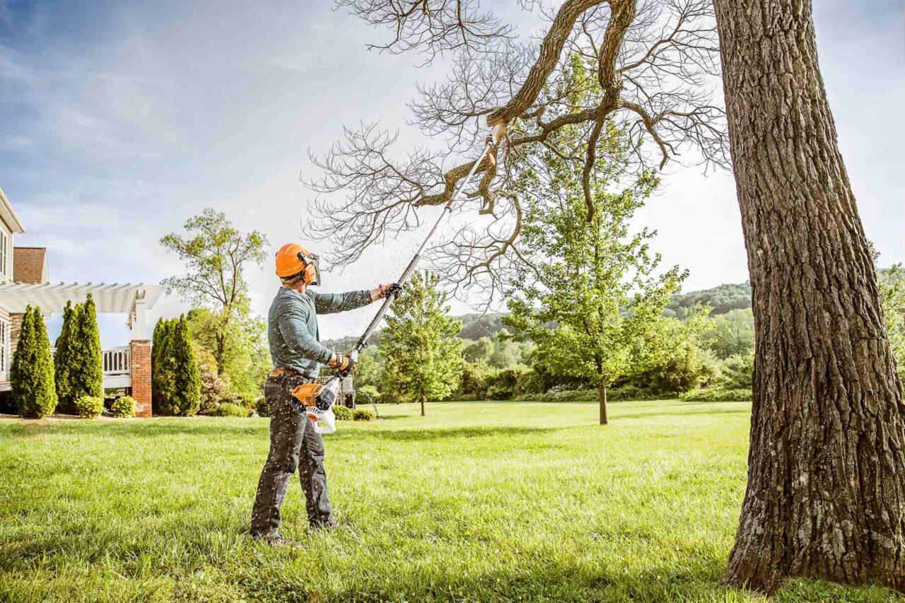 Tree Services in Adelaide Hills