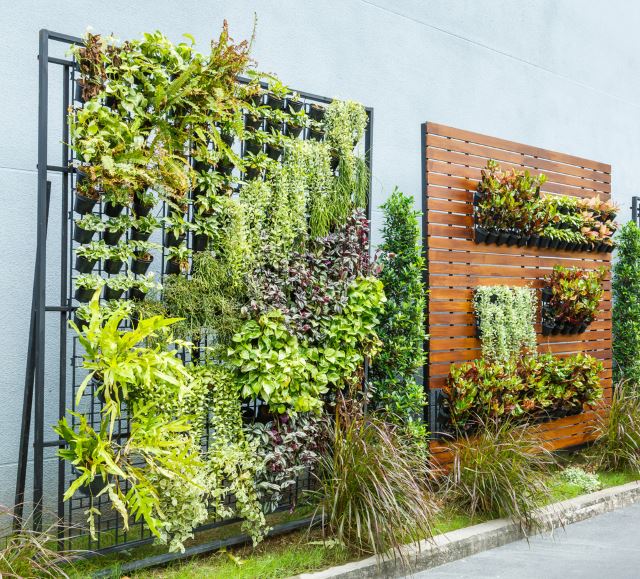 A hanging garden on a building's wall.