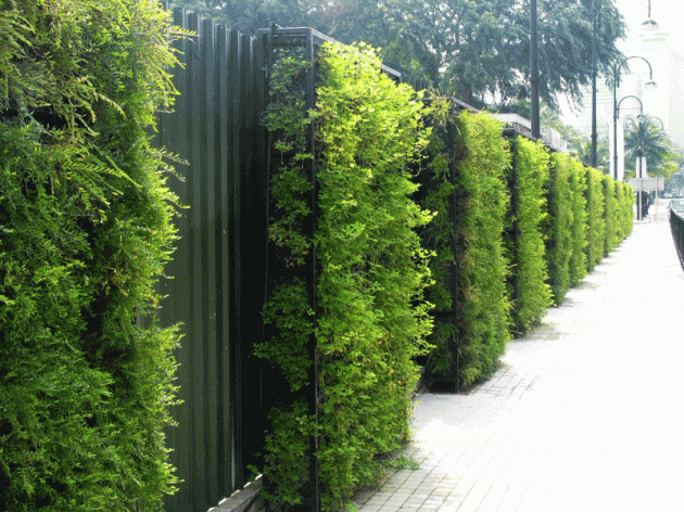 Green Wall Architecture Design