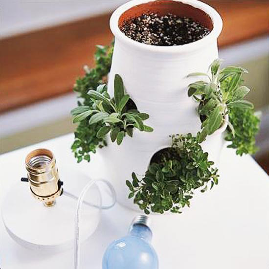An herb garden planter on a table.