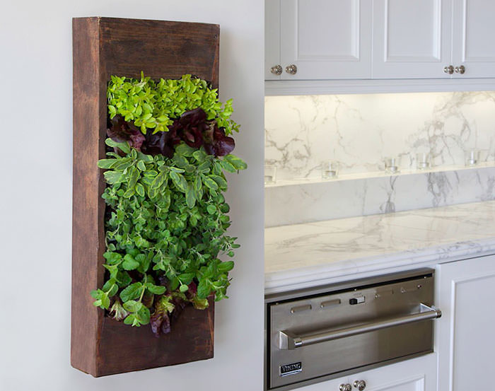 A kitchen with a unique herb garden idea.