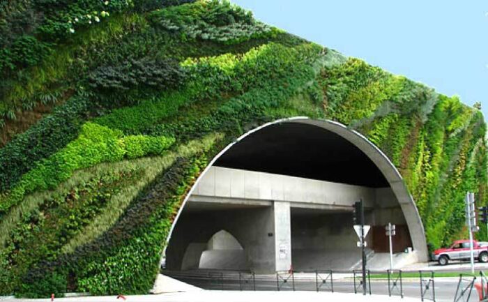 A green wall on a road, featuring unique architecture.