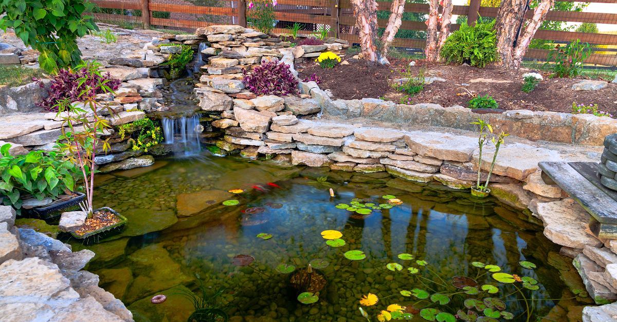 A backyard pond with lily pads and rocks resembling a flower garden.