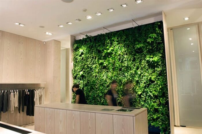 A woman is standing in front of a green wall in a store with unique architecture.