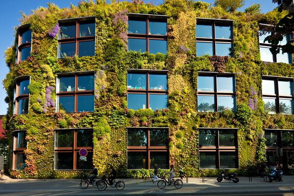 A building showcasing a green wall.