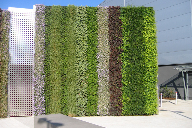 A green wall featuring innovative architecture.