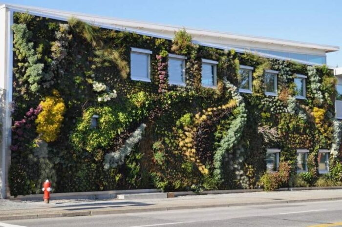 A green wall architecture on a building.