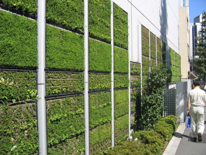 A man walks past a green wall on the side of a building showcasing unique architecture.