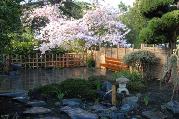 A wooden bench in a Zen garden.