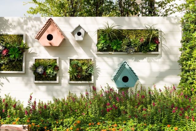 Hanging birdhouses and plants on a wall in a garden.
