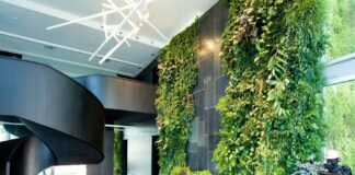 Green Wall Architecture