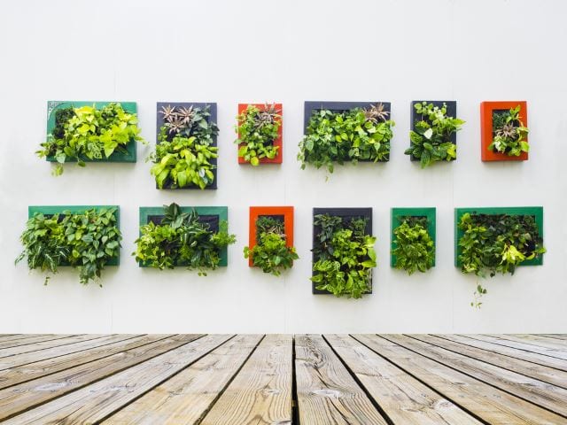 A hanging garden of colorful planters on a white wall.