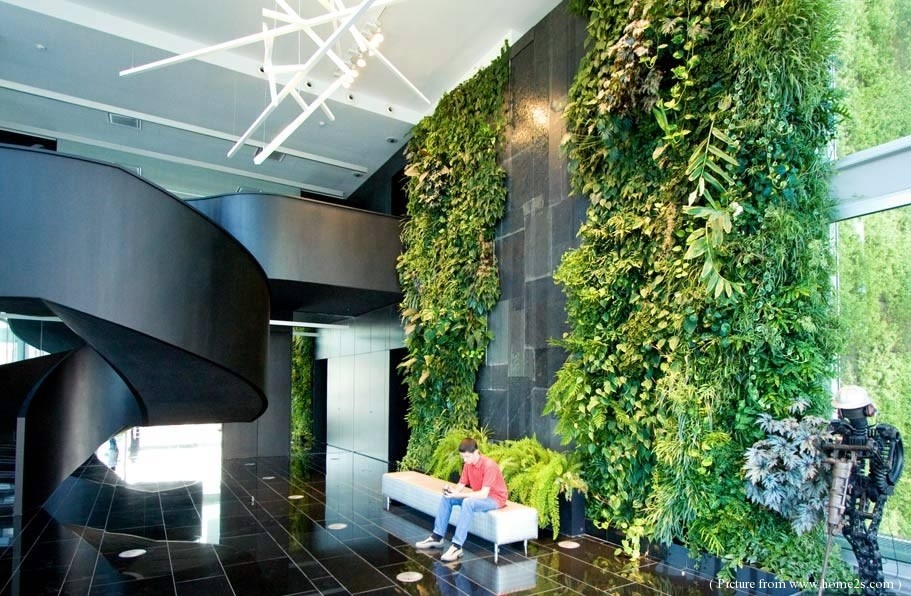 A large green wall in an architectural office building.