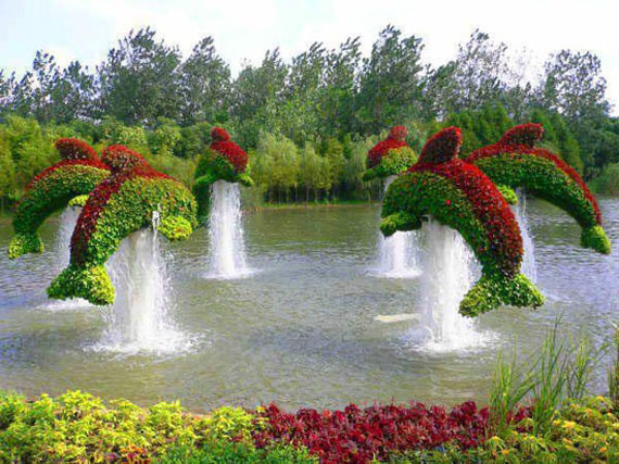 A Hanging Flower Pond 