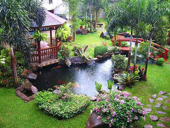 Flower pond and garden 