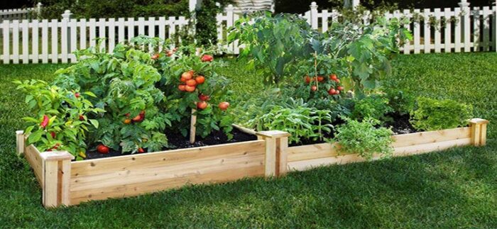 A wooden raised garden bed with tomatoes, creating an outdoor living space.