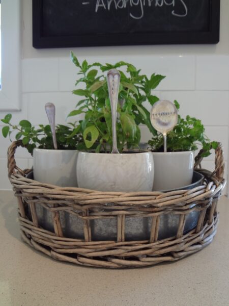Herbs in a wicker basket for an Herb Garden idea.