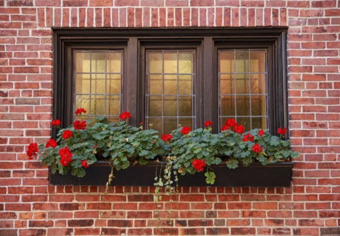 A window box with red flowers enhancing the architectural design of a brick wall.