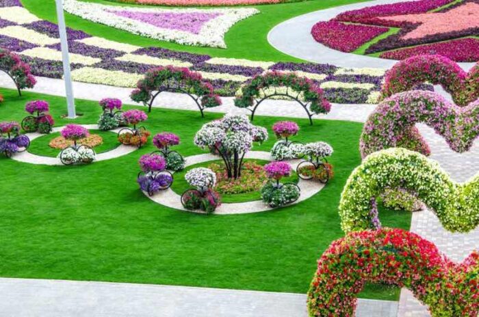A vibrant garden with an abundance of colorful flowers.