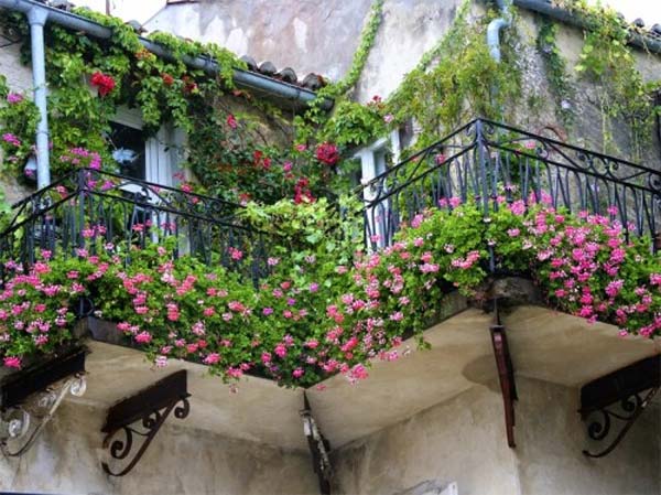 A garden-inspired balcony with flowers and vines.