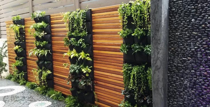 A vertical garden with plants on a wooden wall.