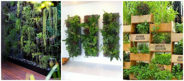 A collage of pictures showcasing various types of plants, including vertical gardens.