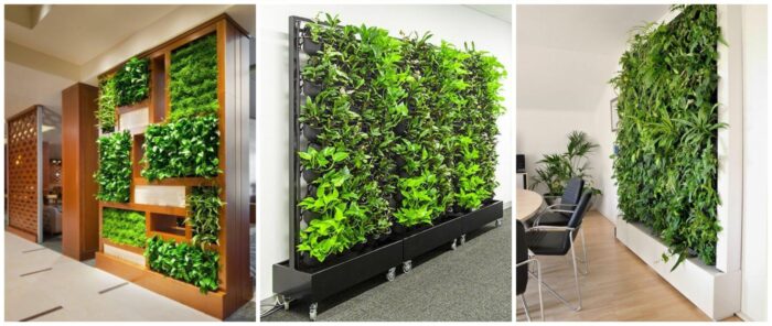 Four pictures of a vertical garden in an office.
