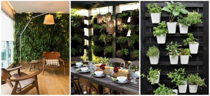 A collage of pictures showcasing vertical gardens and a dining table.