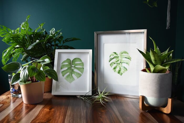 Three plant prints as wall decor.