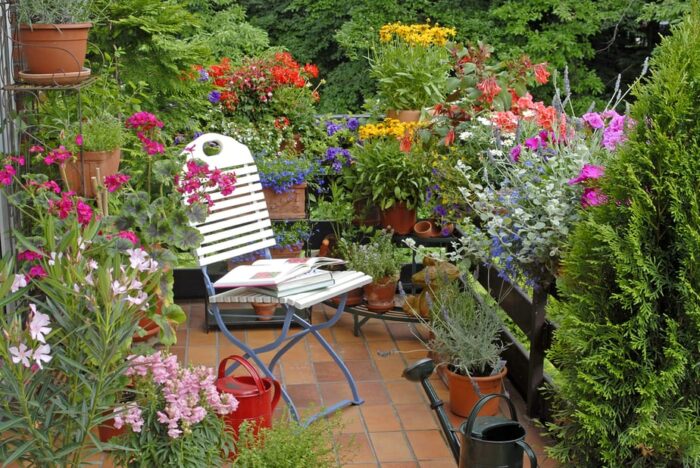 Garden with furniture