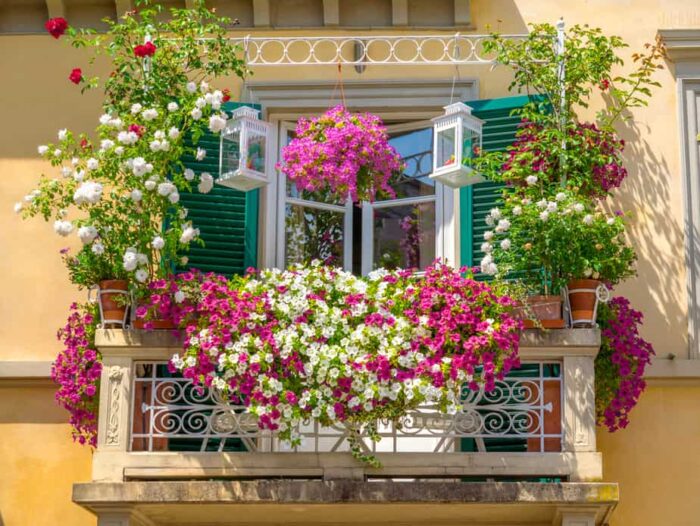 A balcony adorned with flowers.