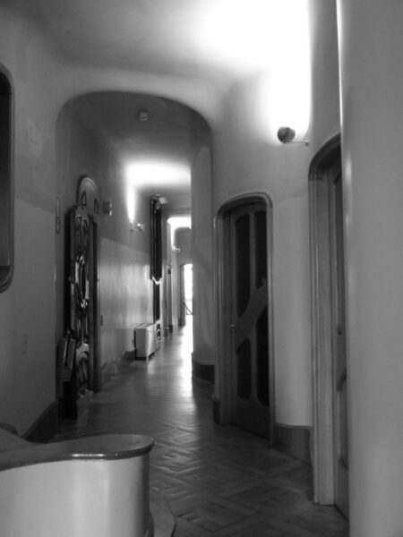 A black and white photo of a hallway transformed into a vegetable garden.
