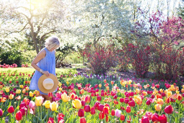 A woman is standing in a field of tulips, offering gardening tips.