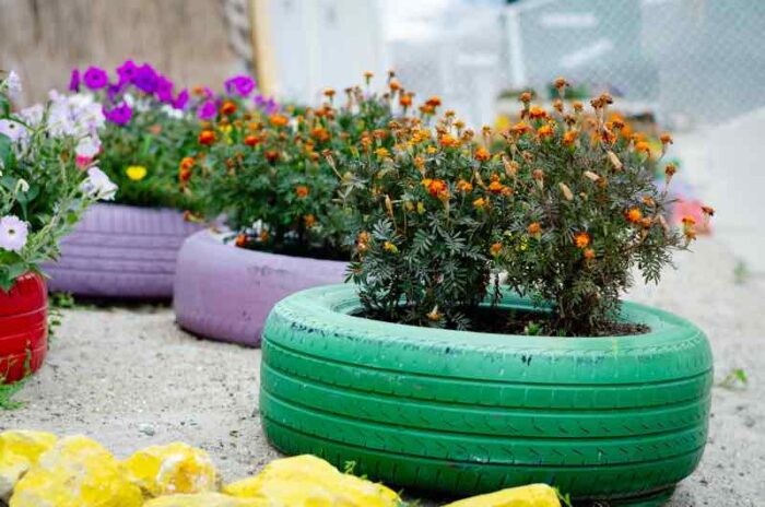 Different types of flowers blooming in pots made of multicolored car tires on a esplanade near sea 