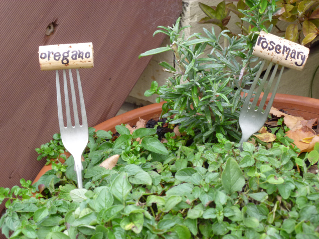 Two forks in a herb garden pot.