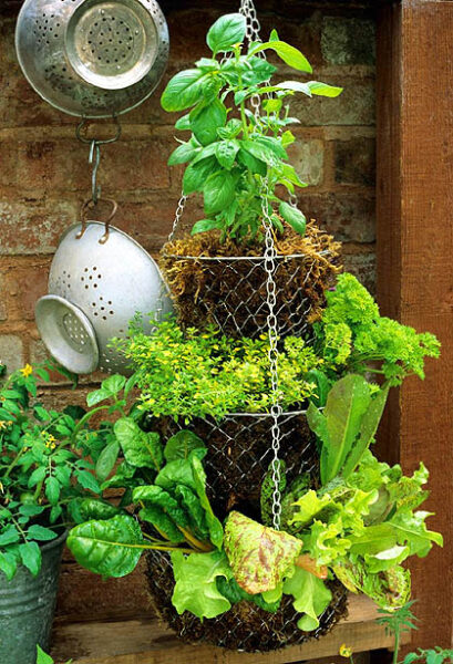 An Herb Garden idea featuring a hanging basket full of greens and pots.
