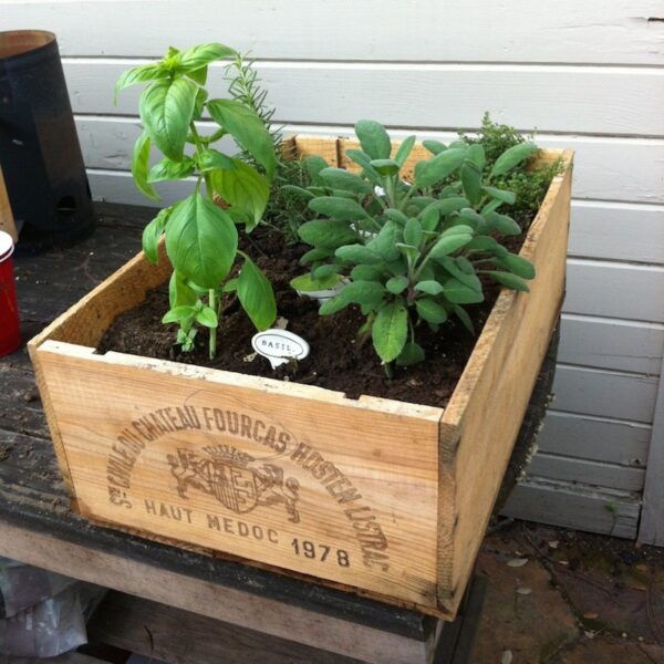 A wooden crate transformed into an herb garden.