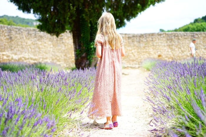 A girl in a pink dress walking through a lavender field, perfect for wallpaper decor.