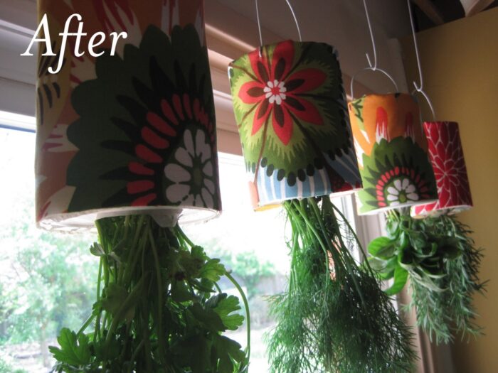 A creative Herb Garden idea with hanging herbs.