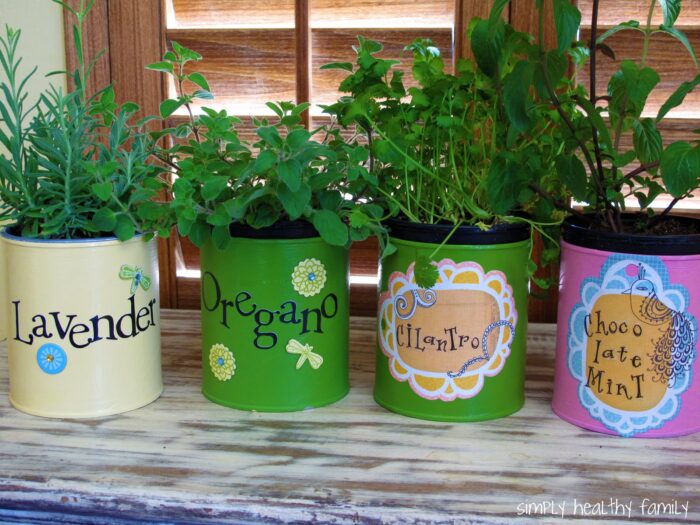 Creative herb garden idea with four tin cans.