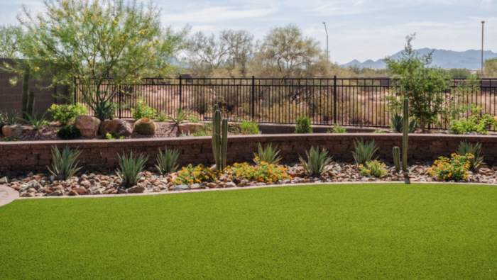 A landscaped backyard with artificial grass and cactus.