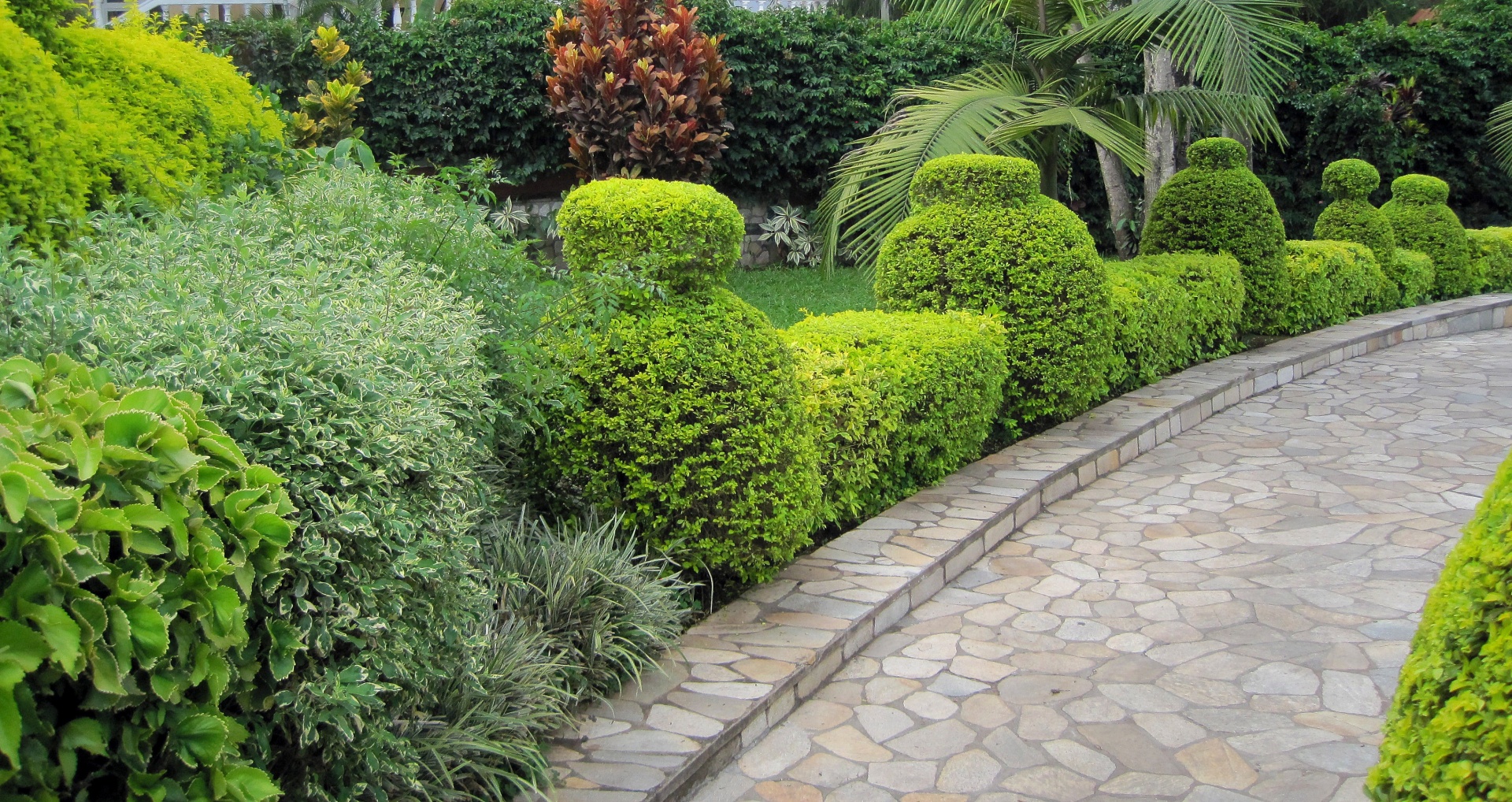 A garden with many shrubs, trees, and gardening tips.