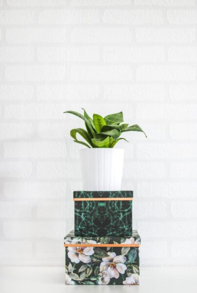 A decorative display of stacked boxes with a potted plant on top.