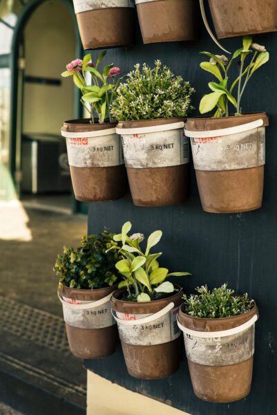 Hanging plant pots on a wall for creative gardening.