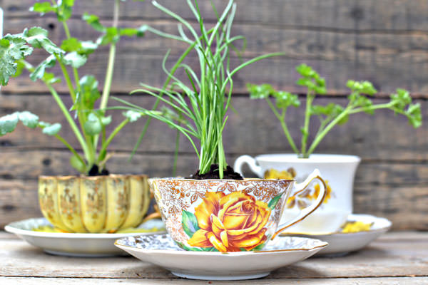 Three herb garden tea cups on a wooden table.