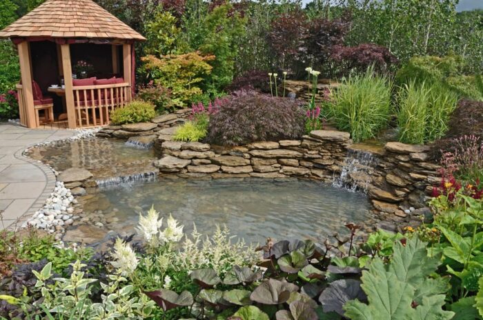 Arrange tall and short water plants all over a pond. 