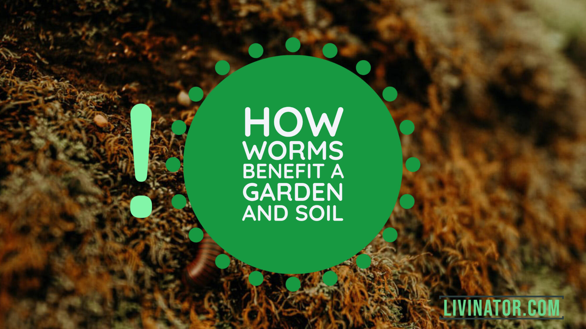 Worms benefit soil.
