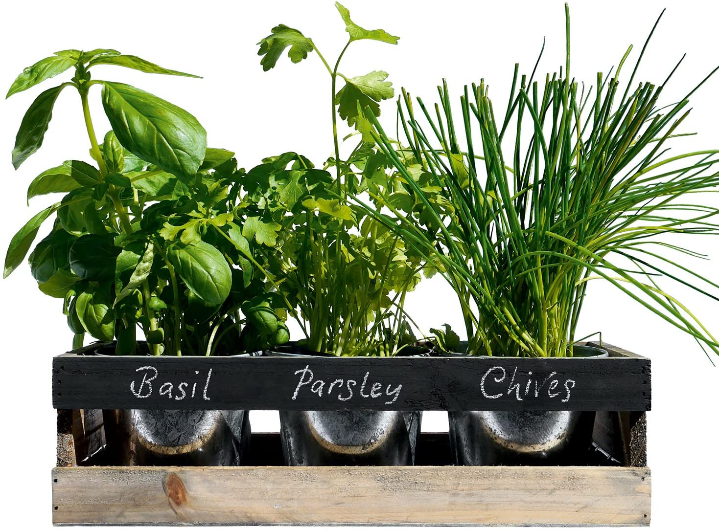 Keywords: Herb Plants, Wooden Crate