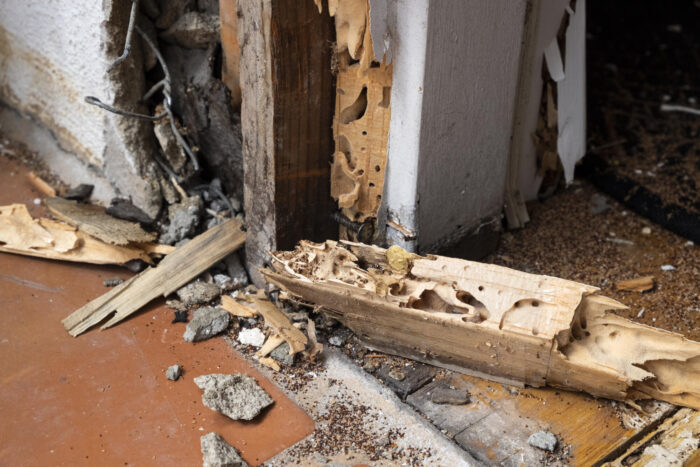 Keywords: Damaged, Termites.

Modified Description: A damaged door infested with termites.